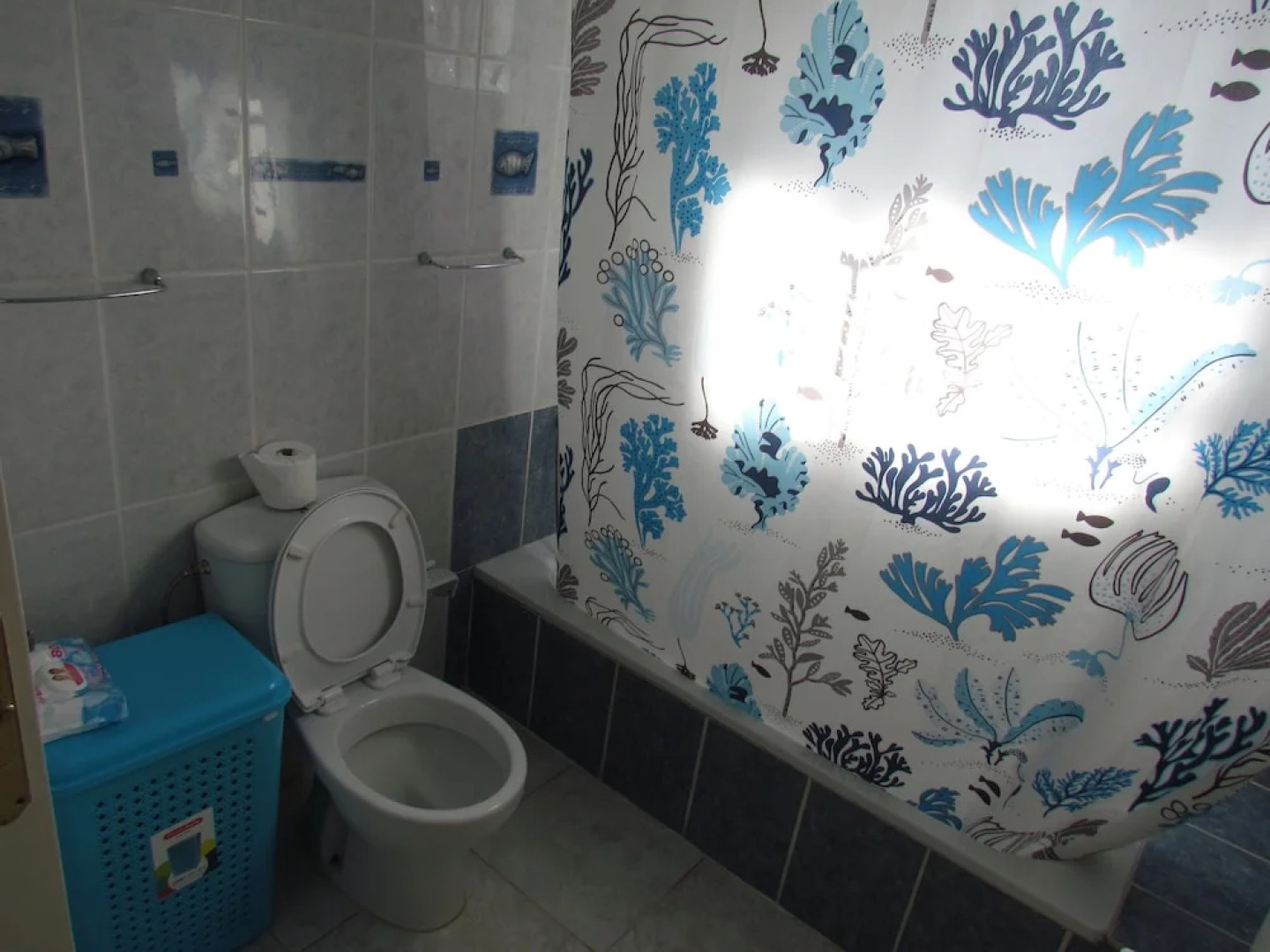 El Oasis de "El Capitán"