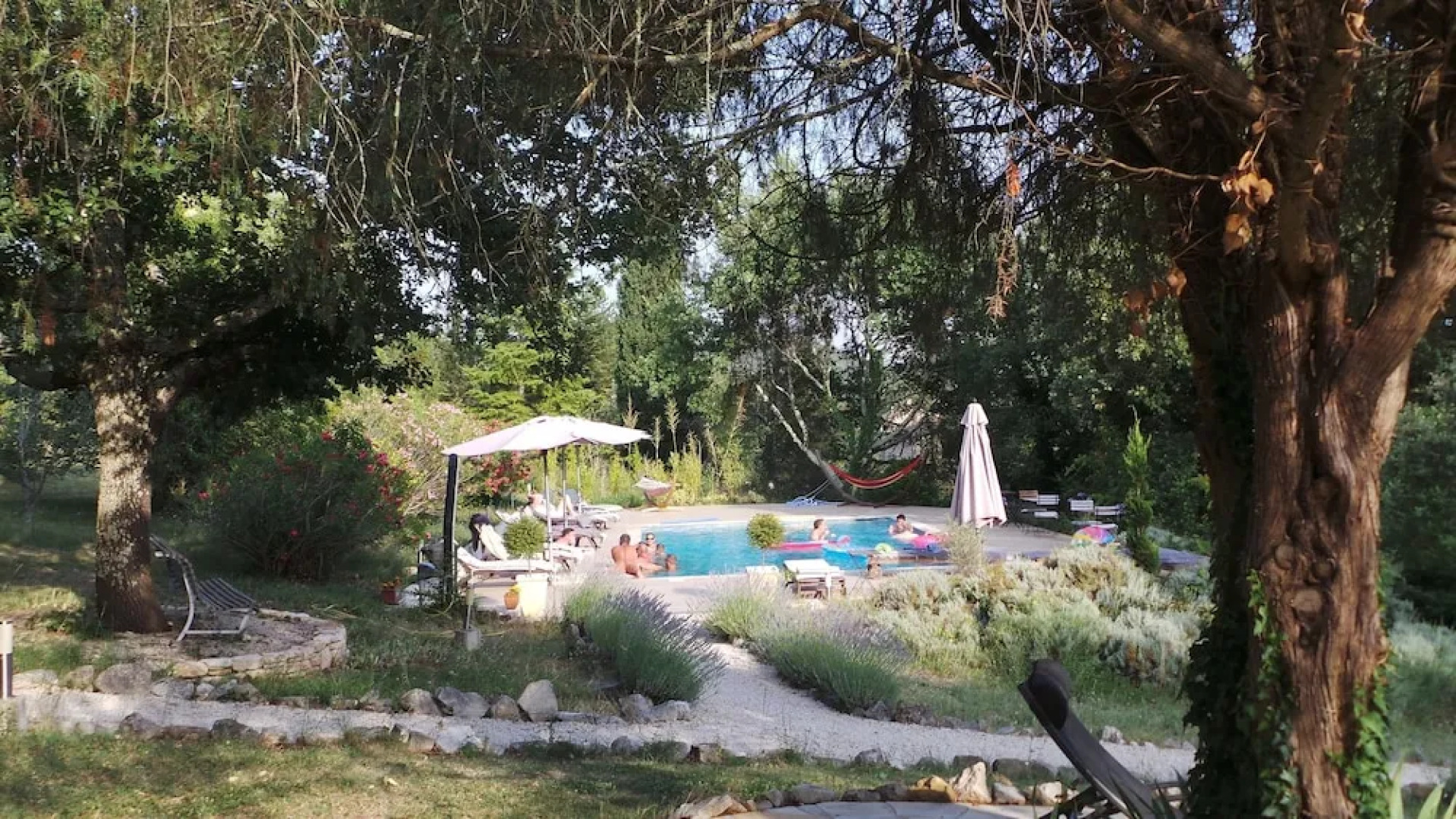 The Lotus Tree Guesthouse