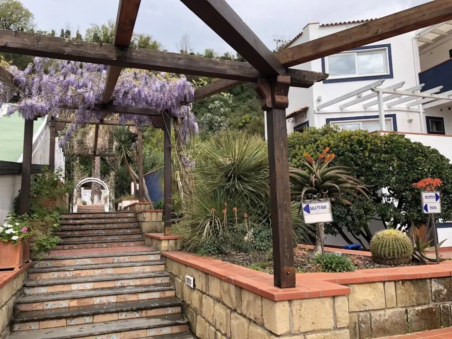 Agave Hotel Residence Inn