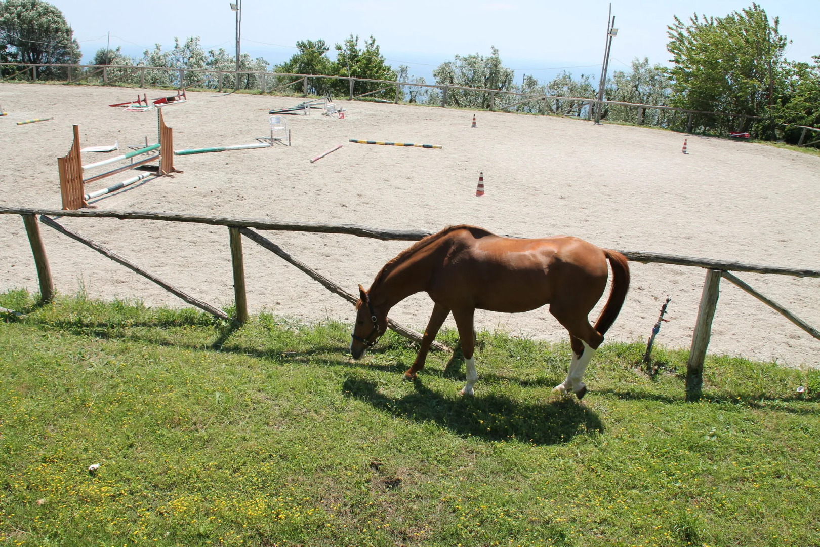 Agriturismo Piccolo Paradiso
