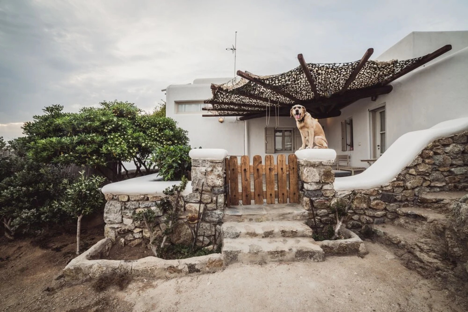 Ftelia di Mare Beachfront