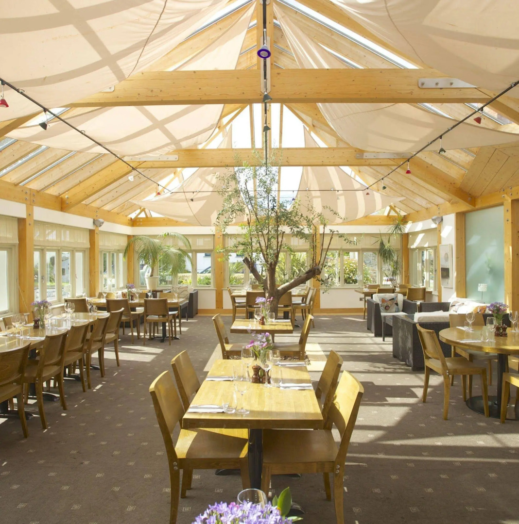 The Plume of Feathers