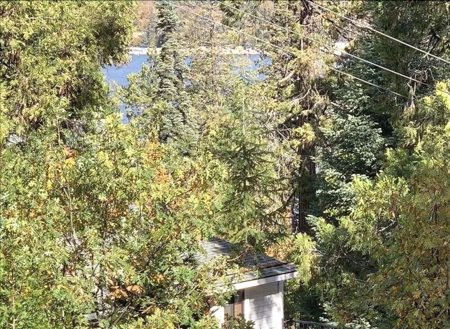 Bluebell House 5 Bedrooms 2 Bathrooms Home