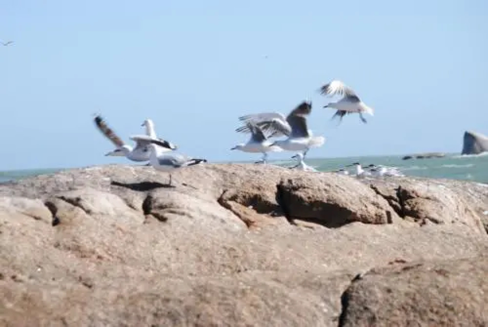 Stay at Bokkoms in Paternoster Self Catering Accommodation