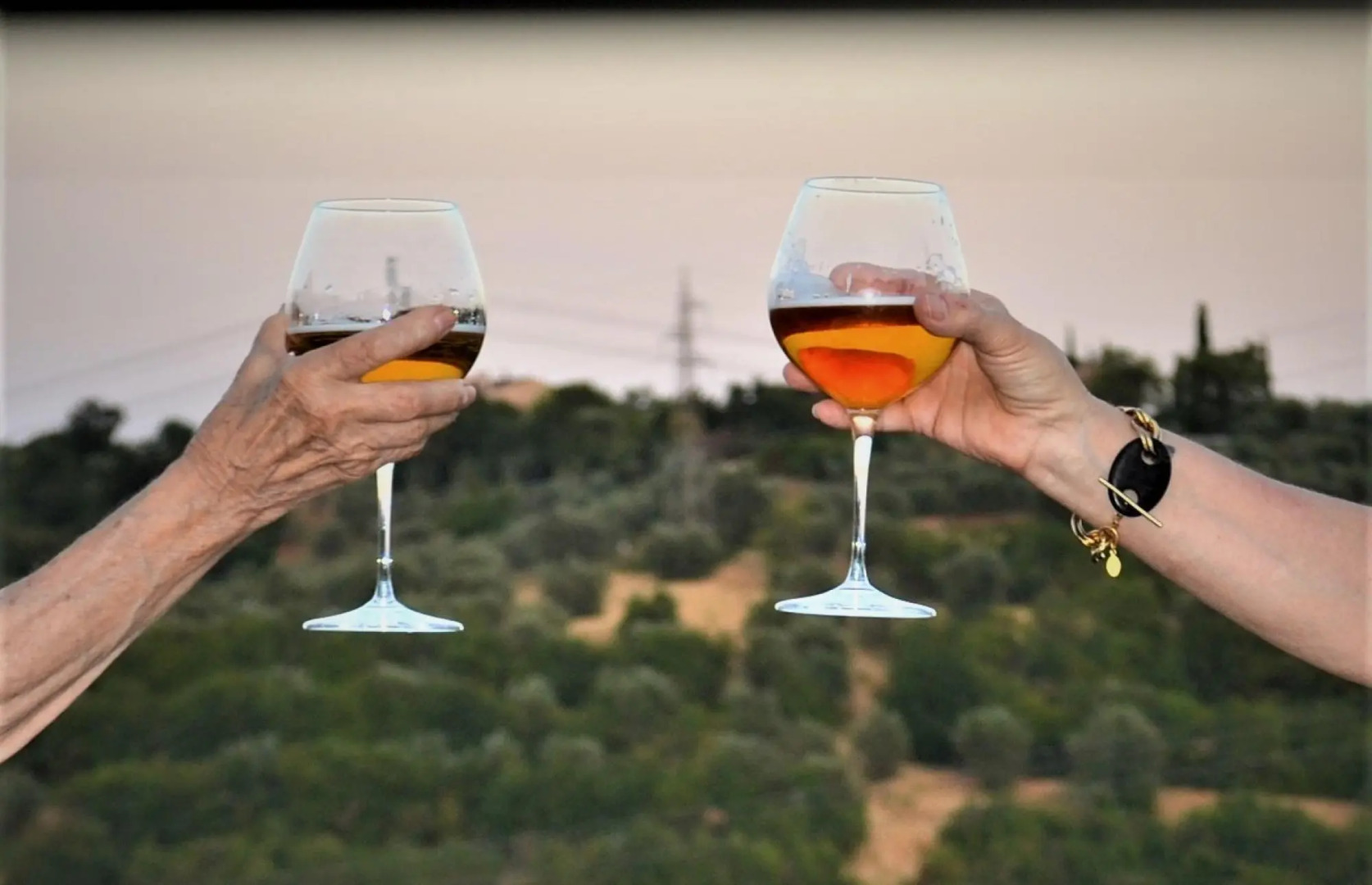 Close to Florence Jacuzzi Breathtaking View