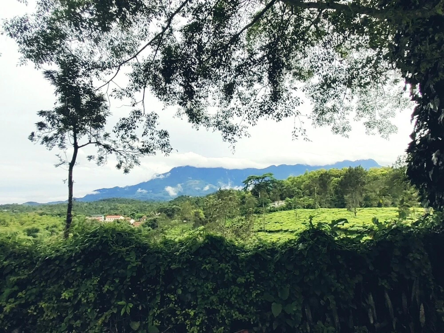 Ripon Heritage Bungalow