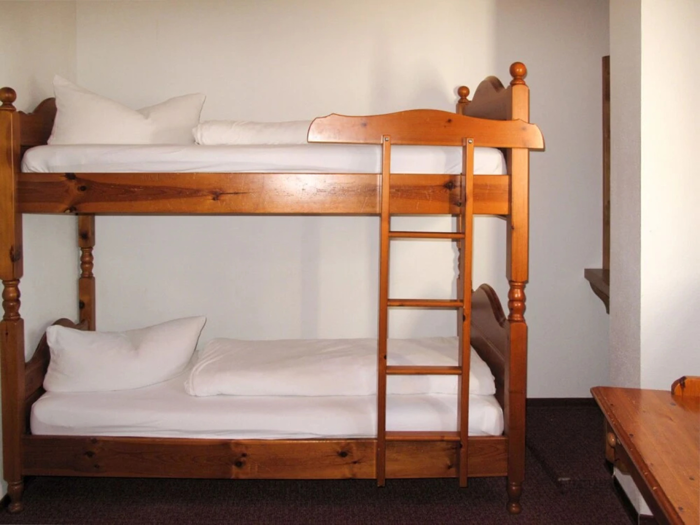 Burg Biedenegg Pach Flie