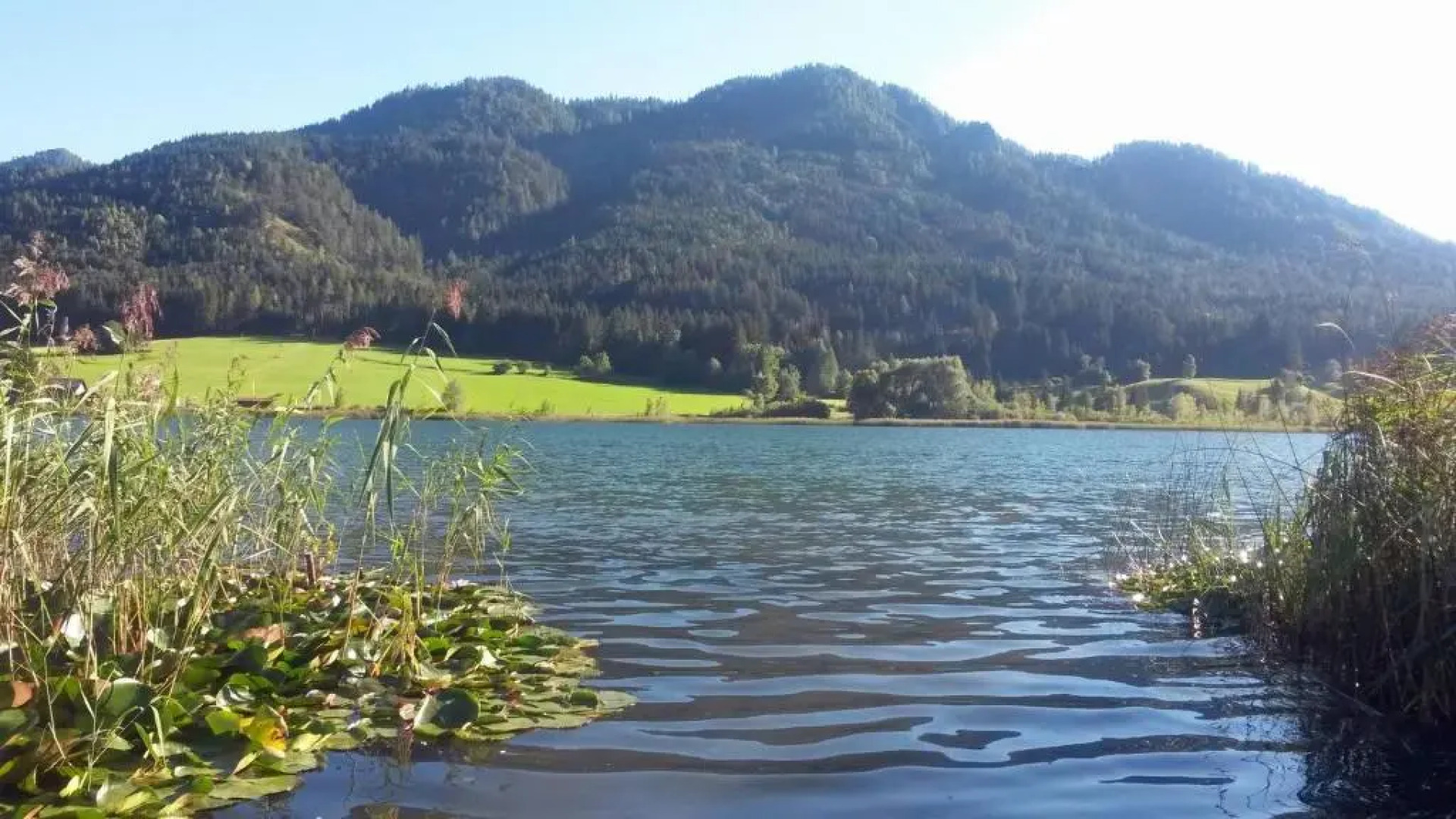 Hotel Wiesenhof Weissensee