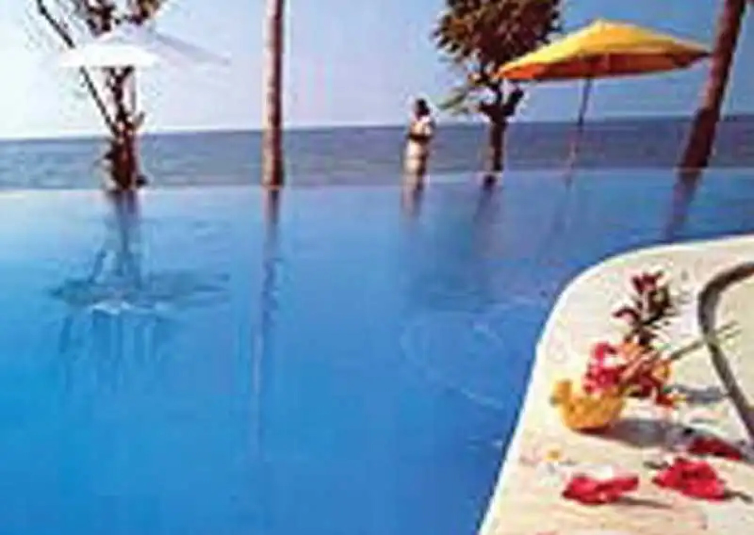 Aneka Bagus Pemuteran