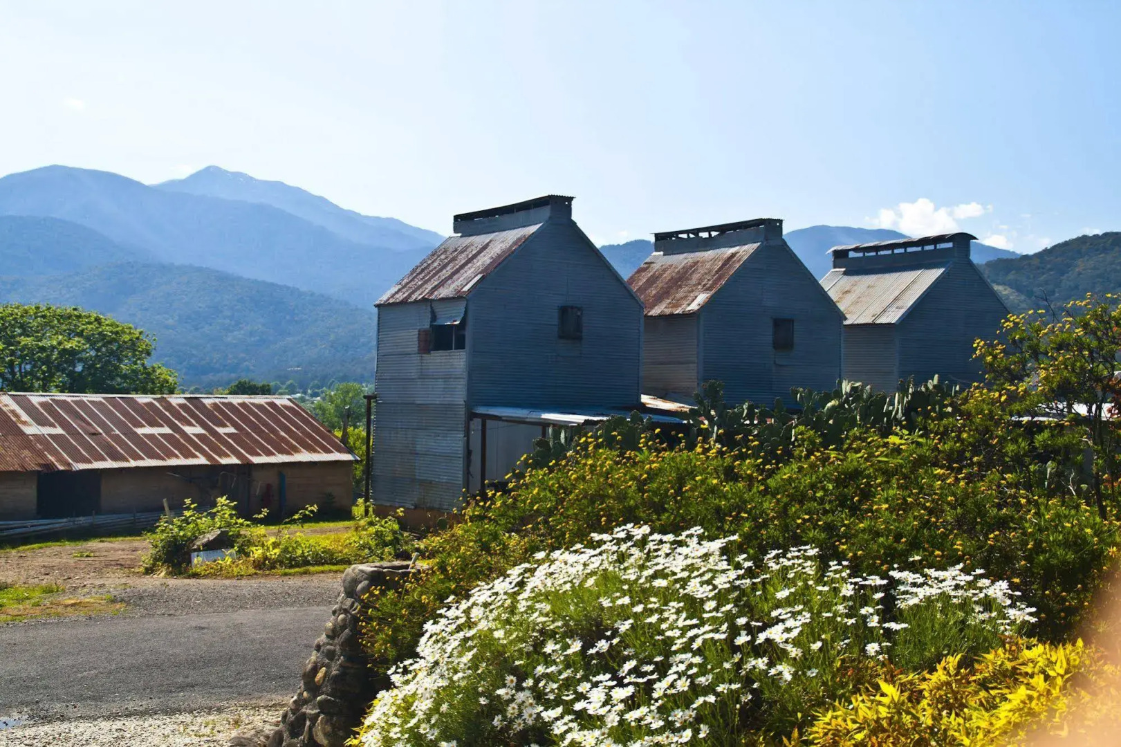 Alpenhorn Holiday Units