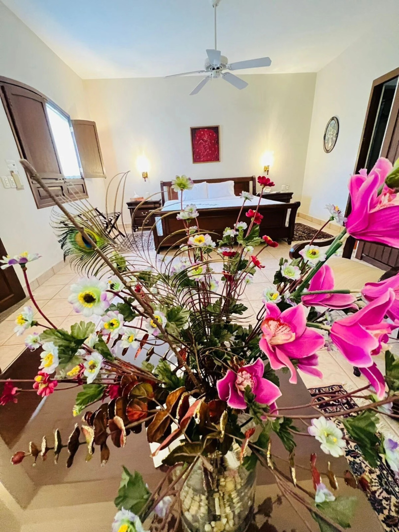 Hotel Hacienda Los Laureles - Spa