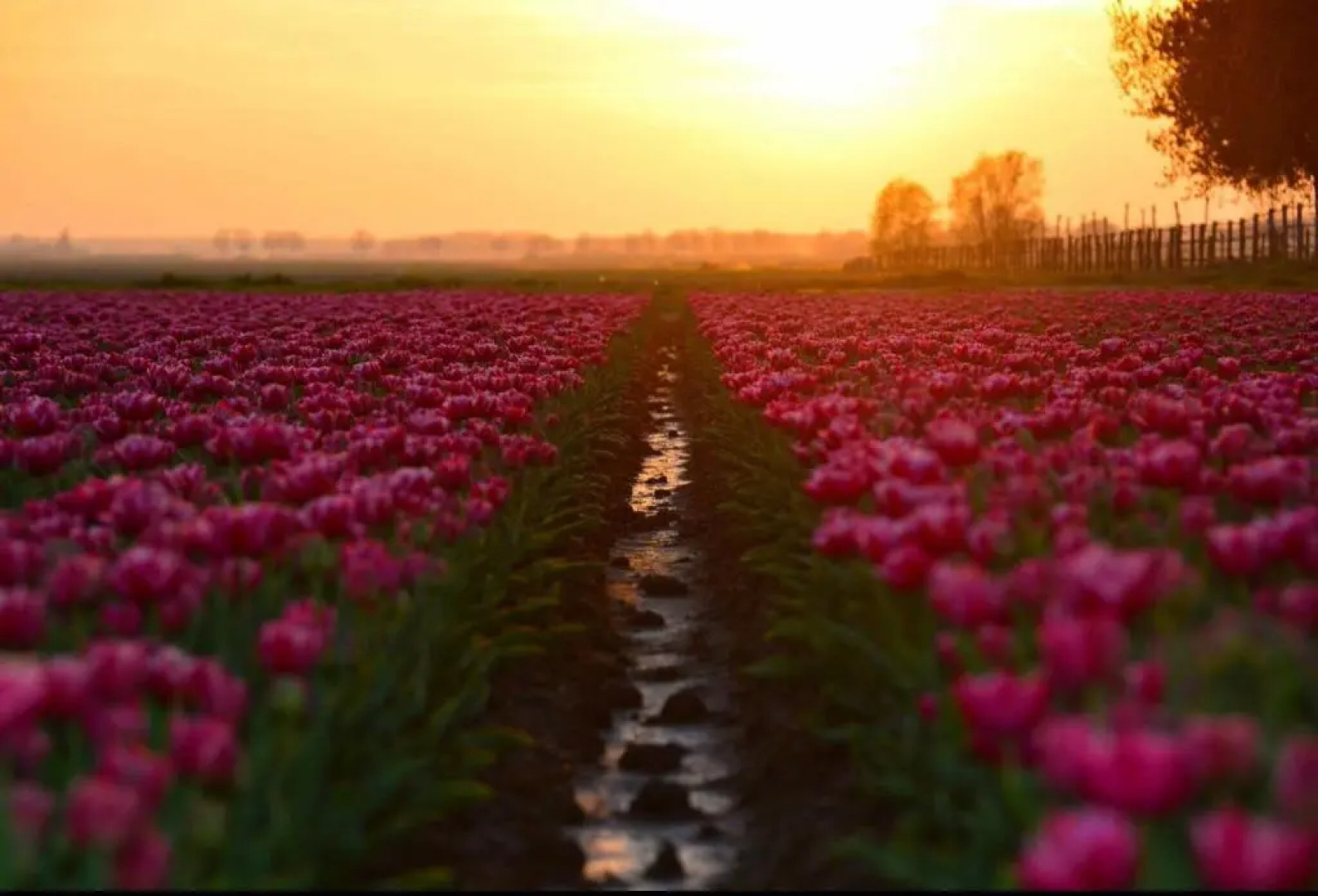 Residence De Kaaipoort appartementen