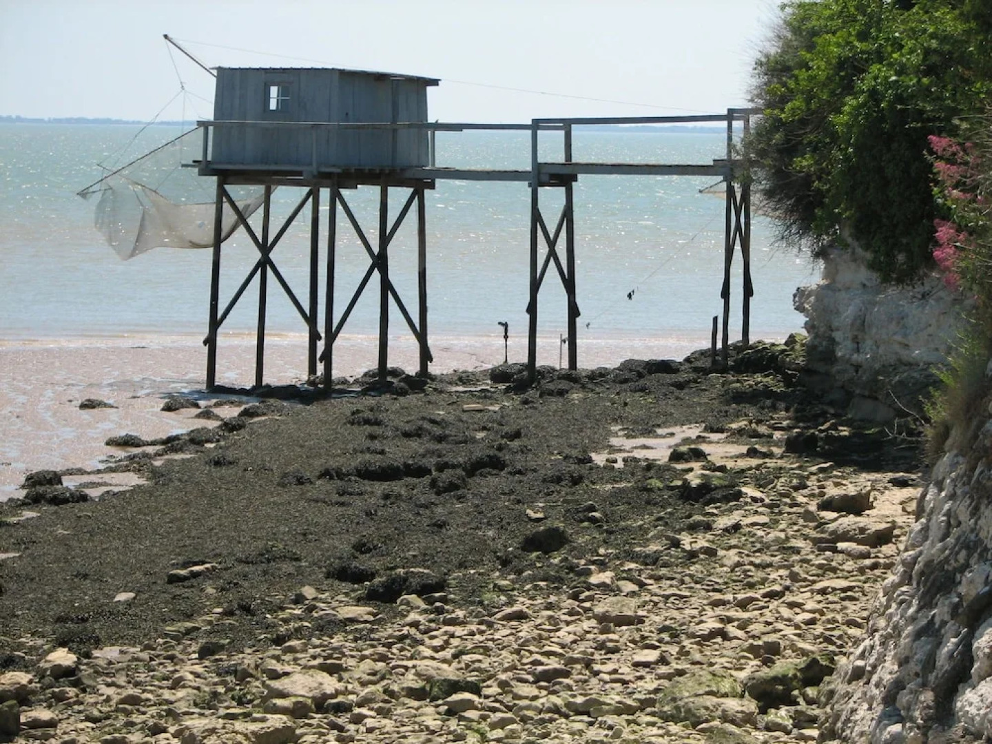 Cosy Apartment in Segonzac With Swimming Pool