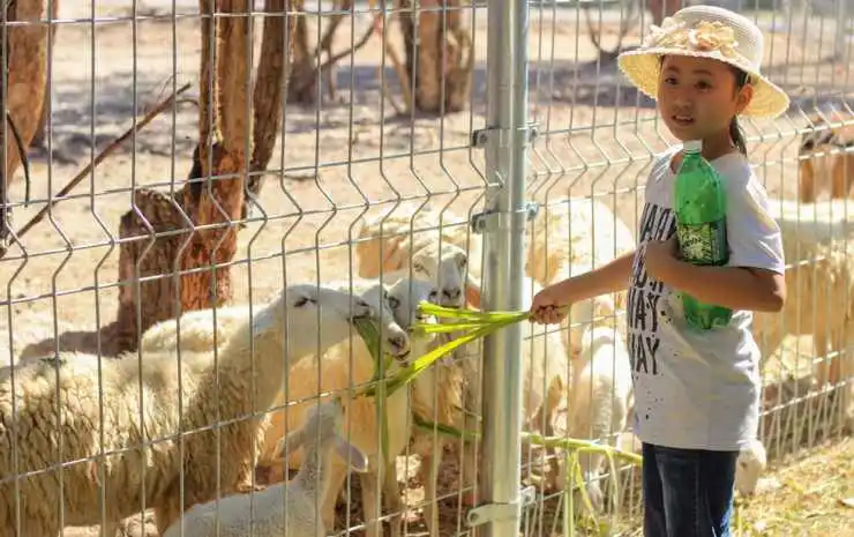 Sai Gon Binh Chau Eco Resort