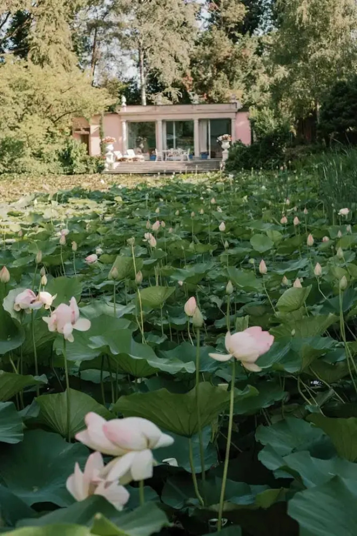 Tranquil 1BR Villa in Revislate