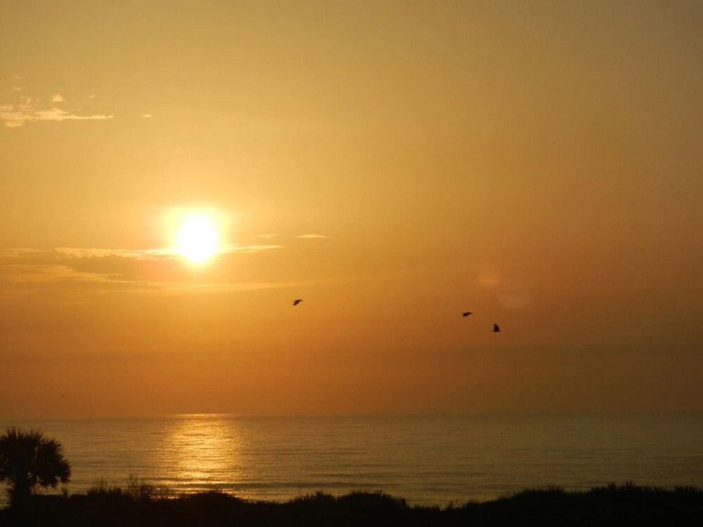 Pearl of the Sea Luxury Bed & Breakfast