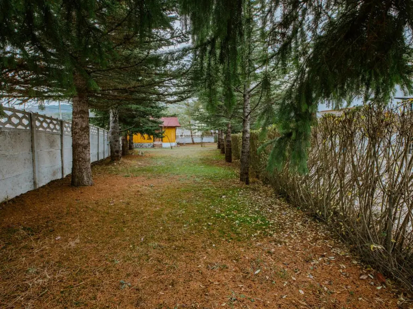 Poi Oberj Kartalkaya By Karpalas