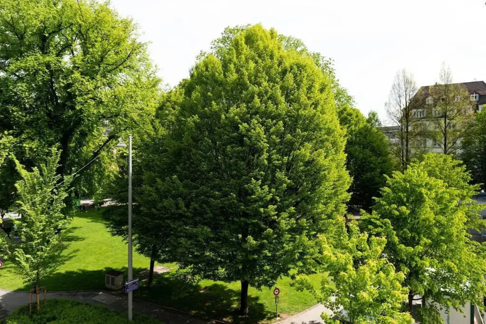 The Hotel Luzern, Autograph Collection