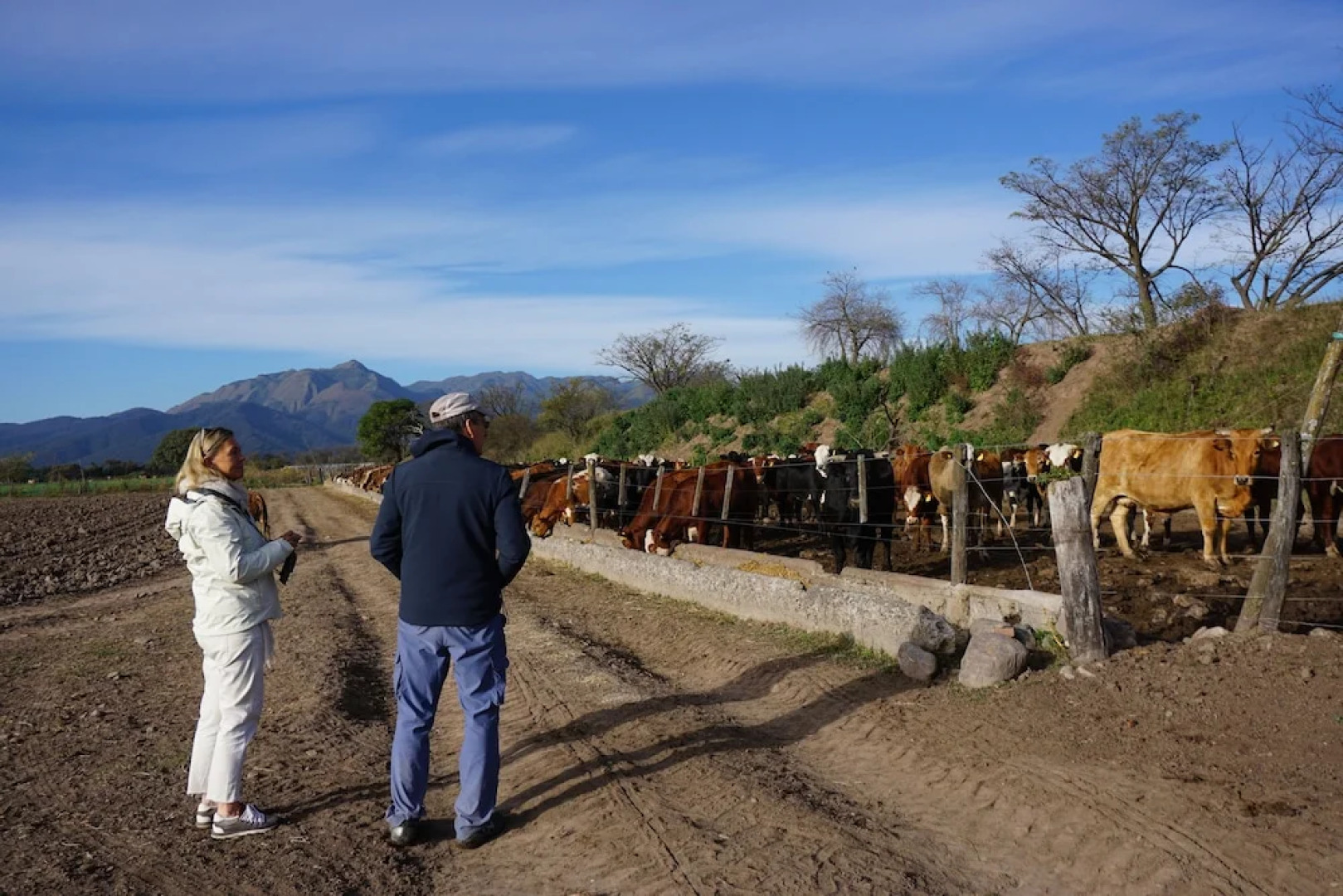 Finca Las Margaritas