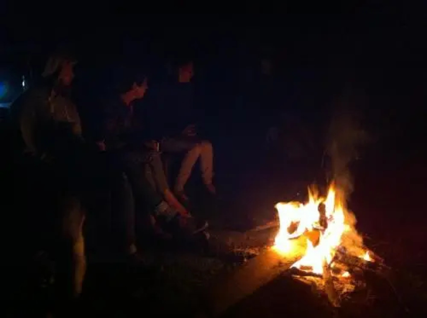 Ecomarvels Gorilla Resort