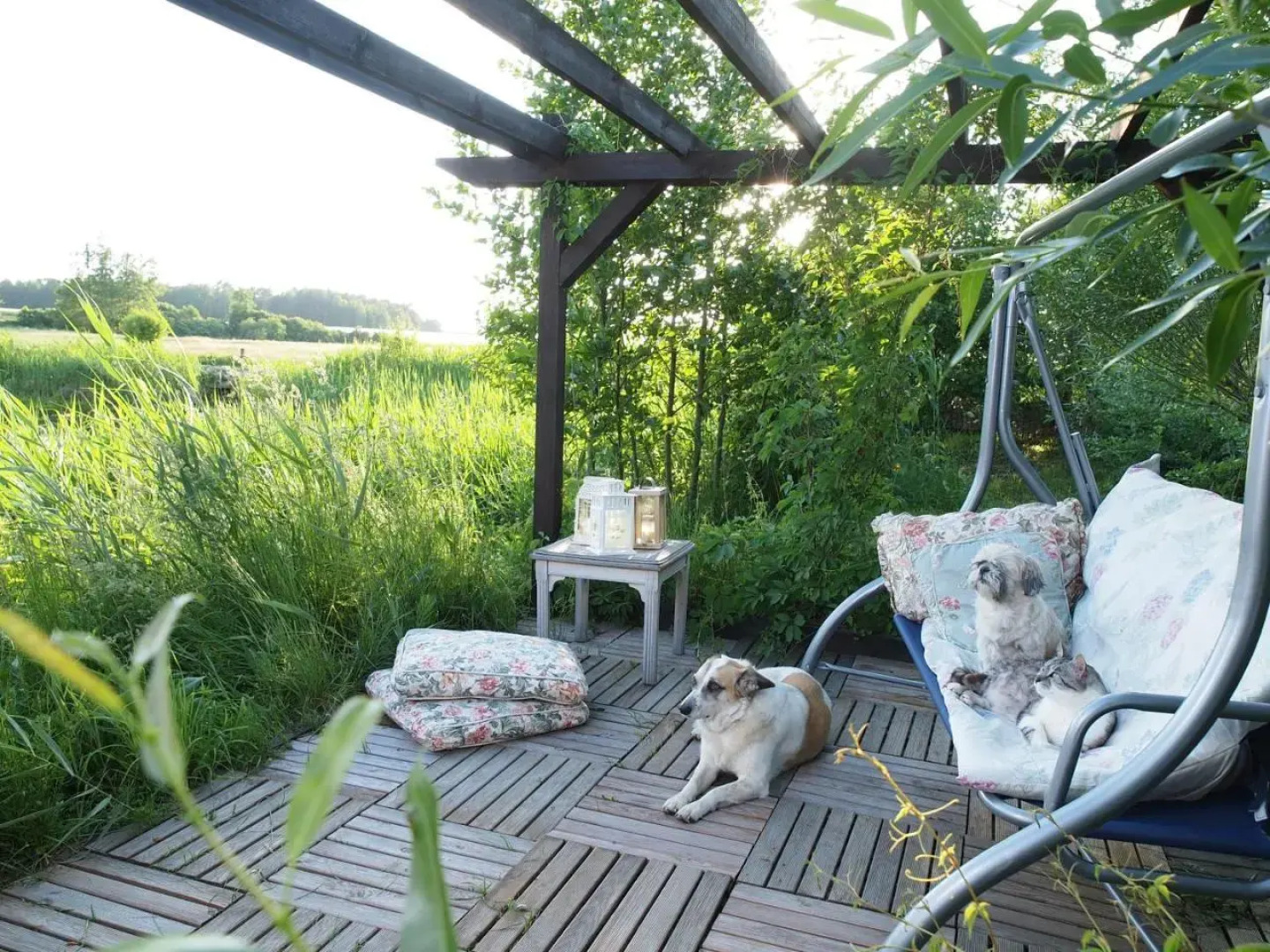 Kiermusy Dwór Łabędzie