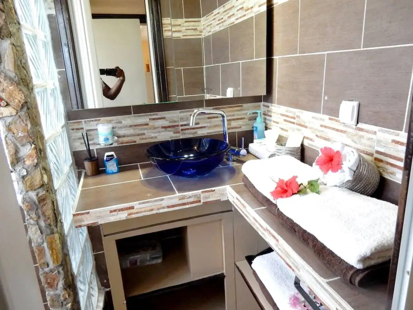 House with One Bedroom in Saint-Martin, with Wonderful Sea View, Furnished Garden And Wifi - 100 M From the Beach
