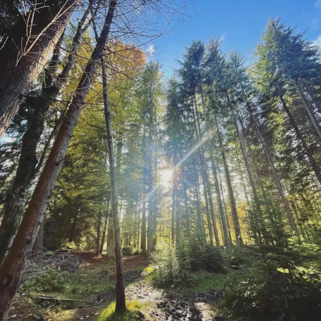 Fairburn Activity Centre