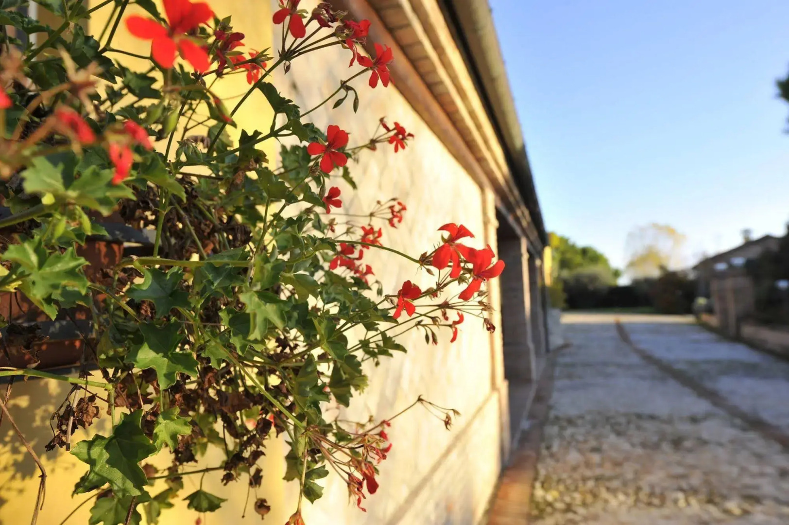 Podere del Germano Reale