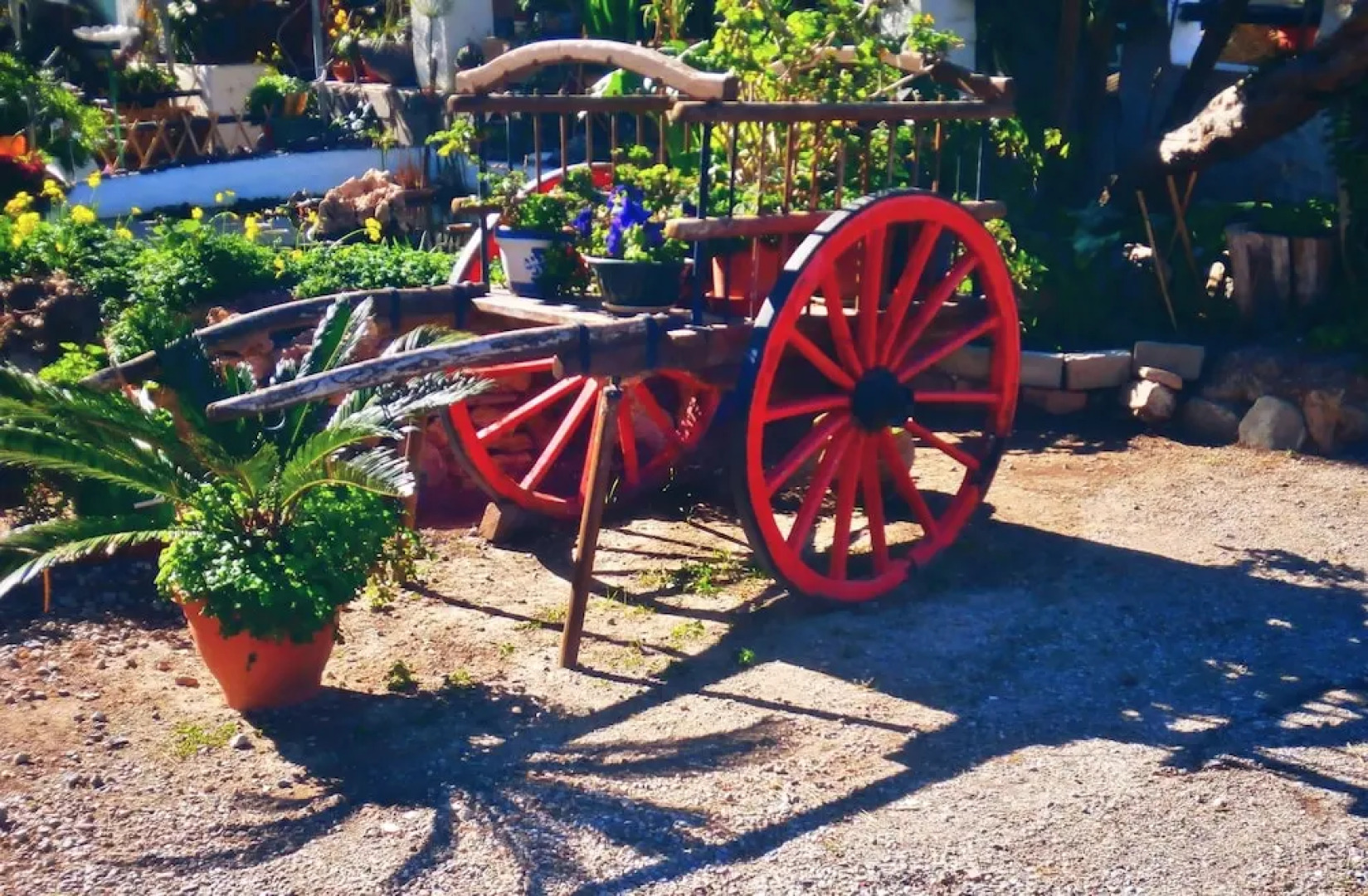 Camping Huerta Romero