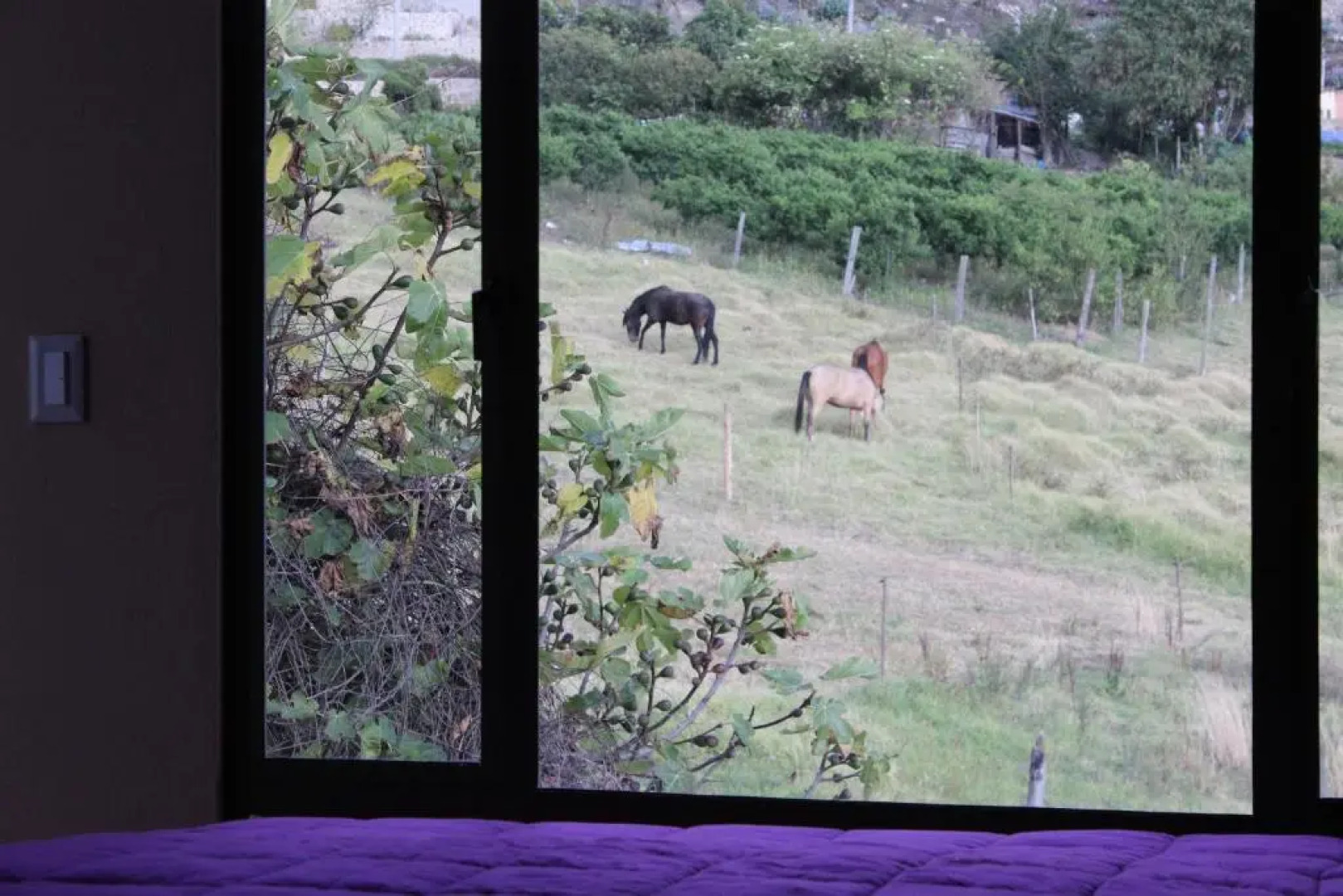 Hotel Campestre Villa Los Duraznos