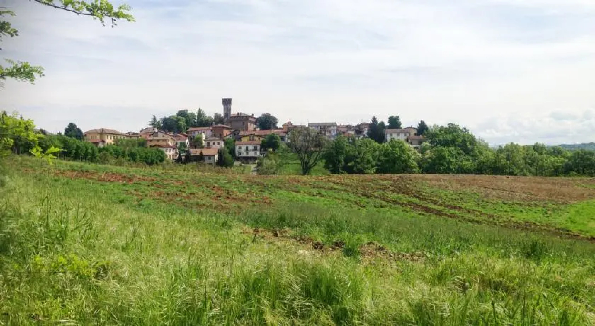 La Tana del Bianconiglio