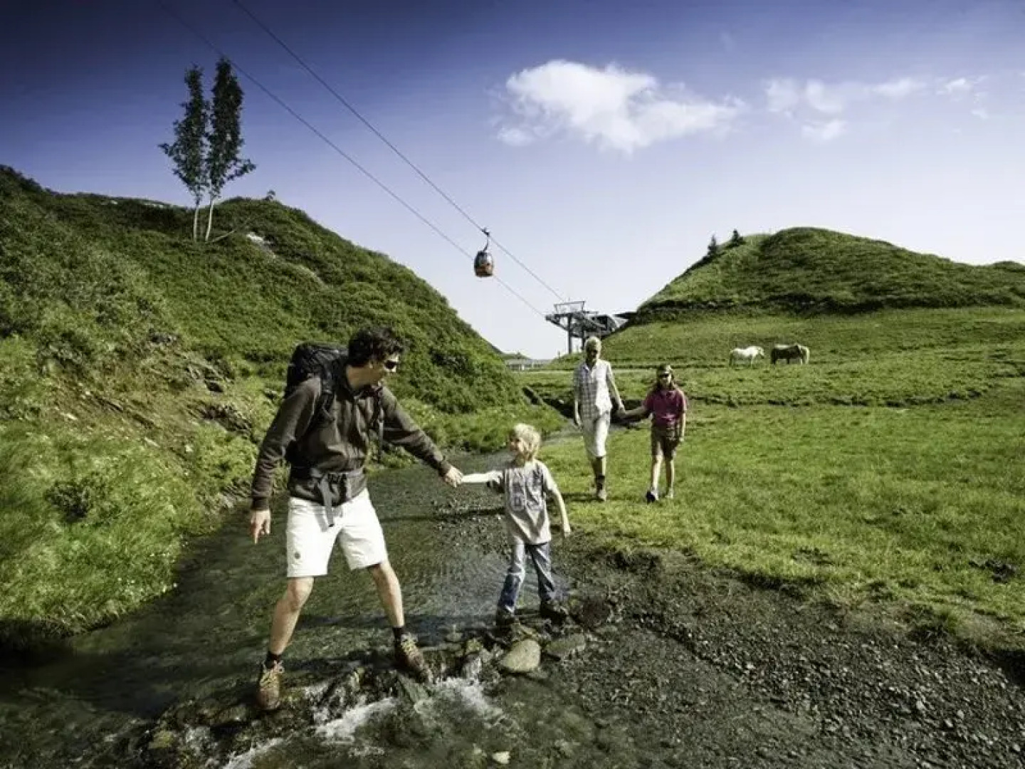 Appartments Anton Wallner Strasse 9