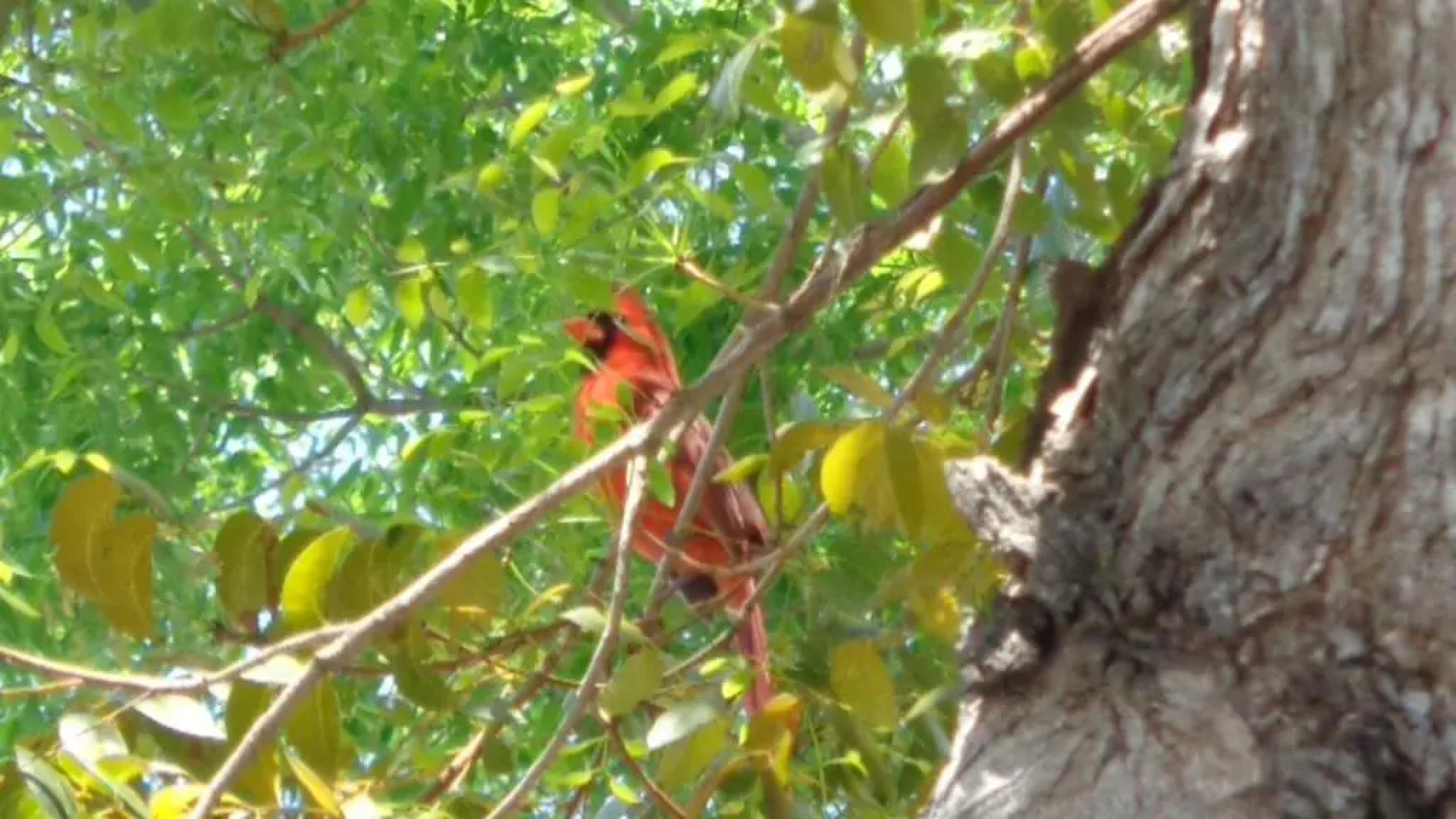 Ocean Oasis at Ocean Pointe