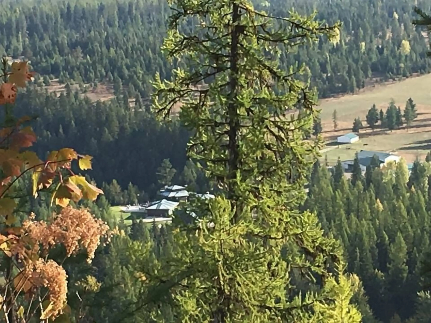 Lakeside Resort and Motel