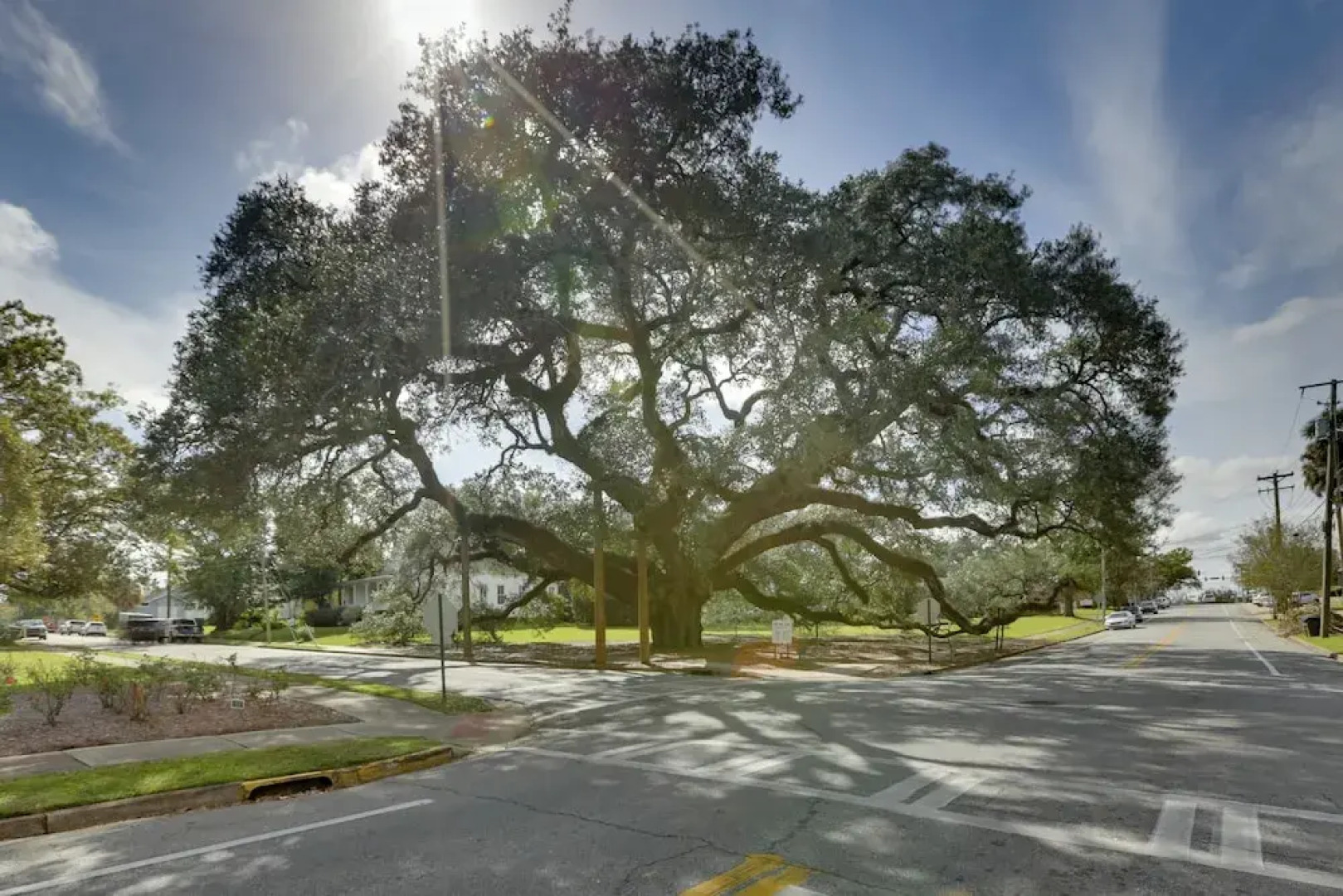 Thomasville Cottage Near The Big Oak & Downtown!