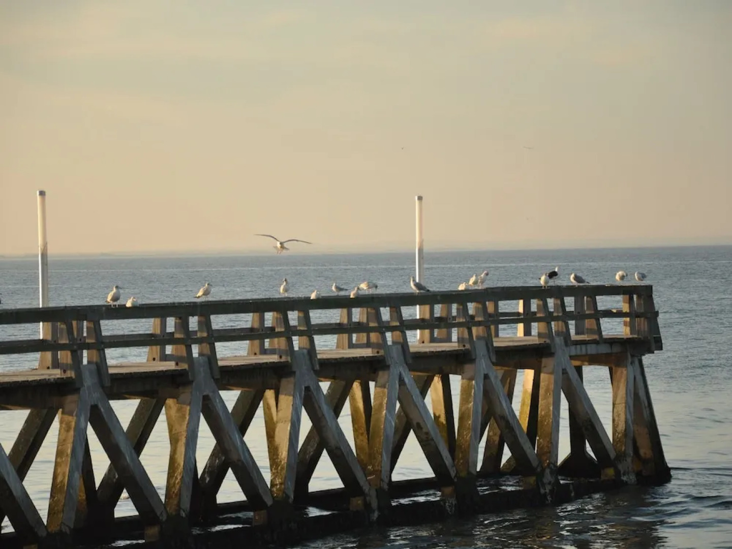 Detached Holiday Home in the Normandy Countryside
