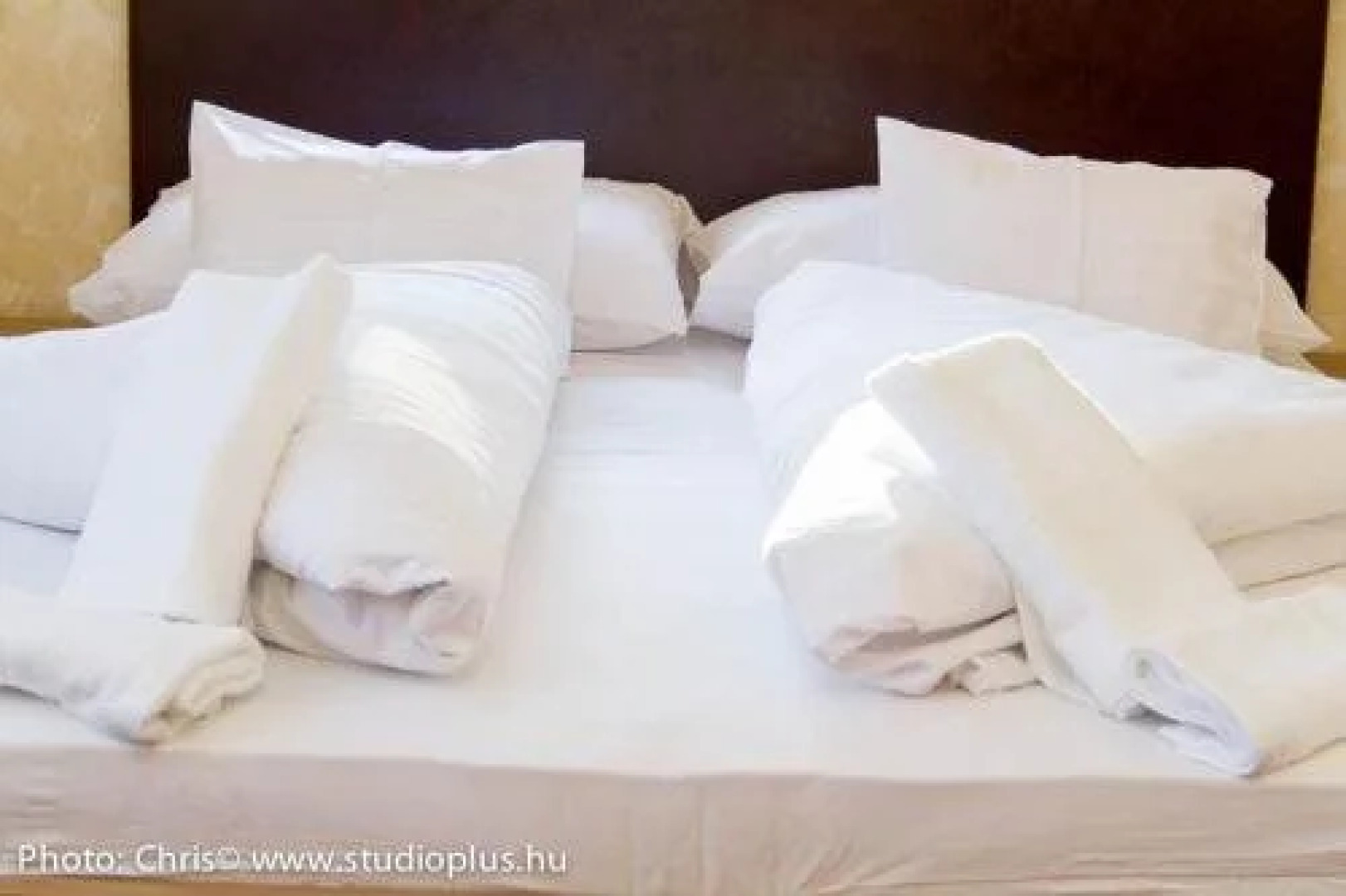 Corvina Hotel-Restaurant