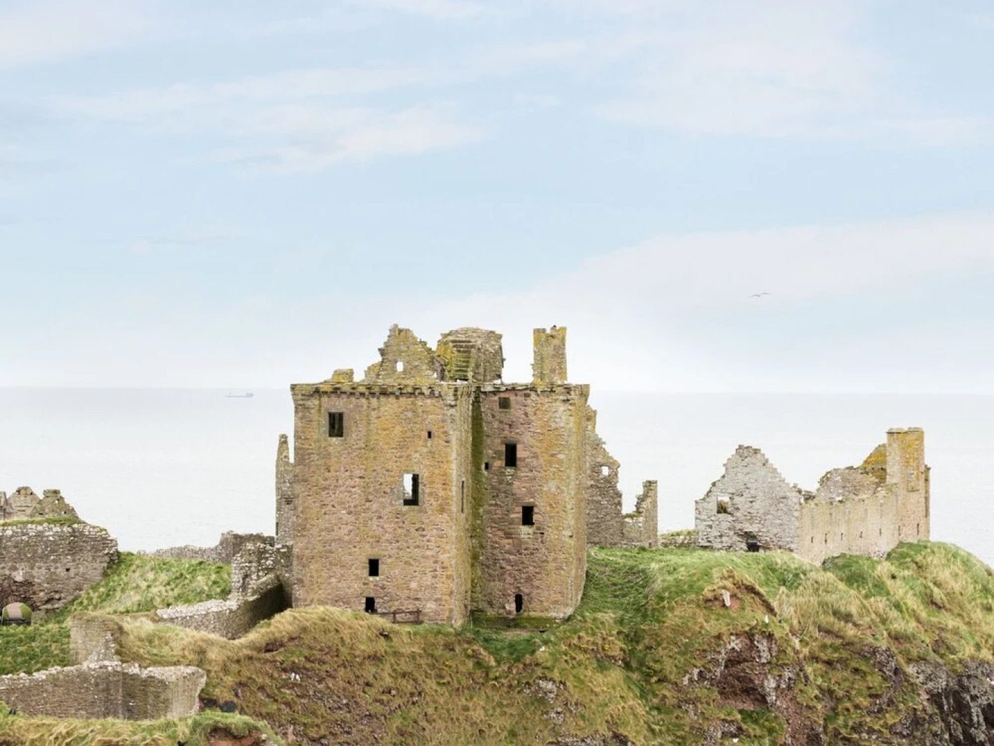 Dunnottar Woods House