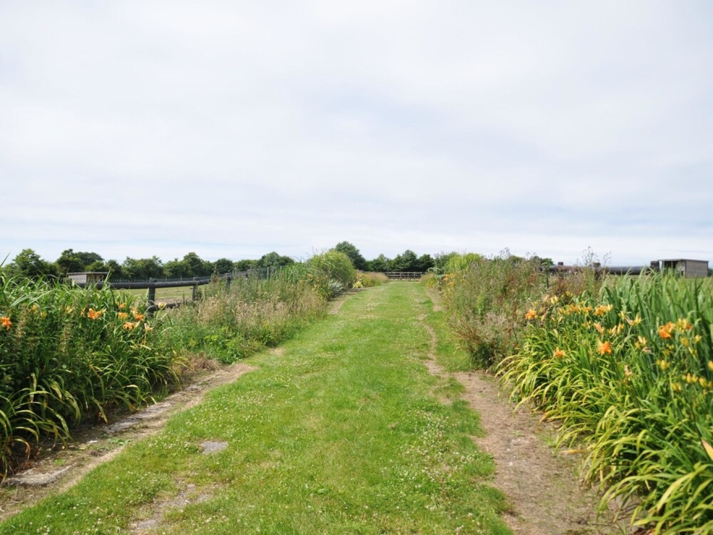 Chambres dHôtes Le Domaine des Platanes