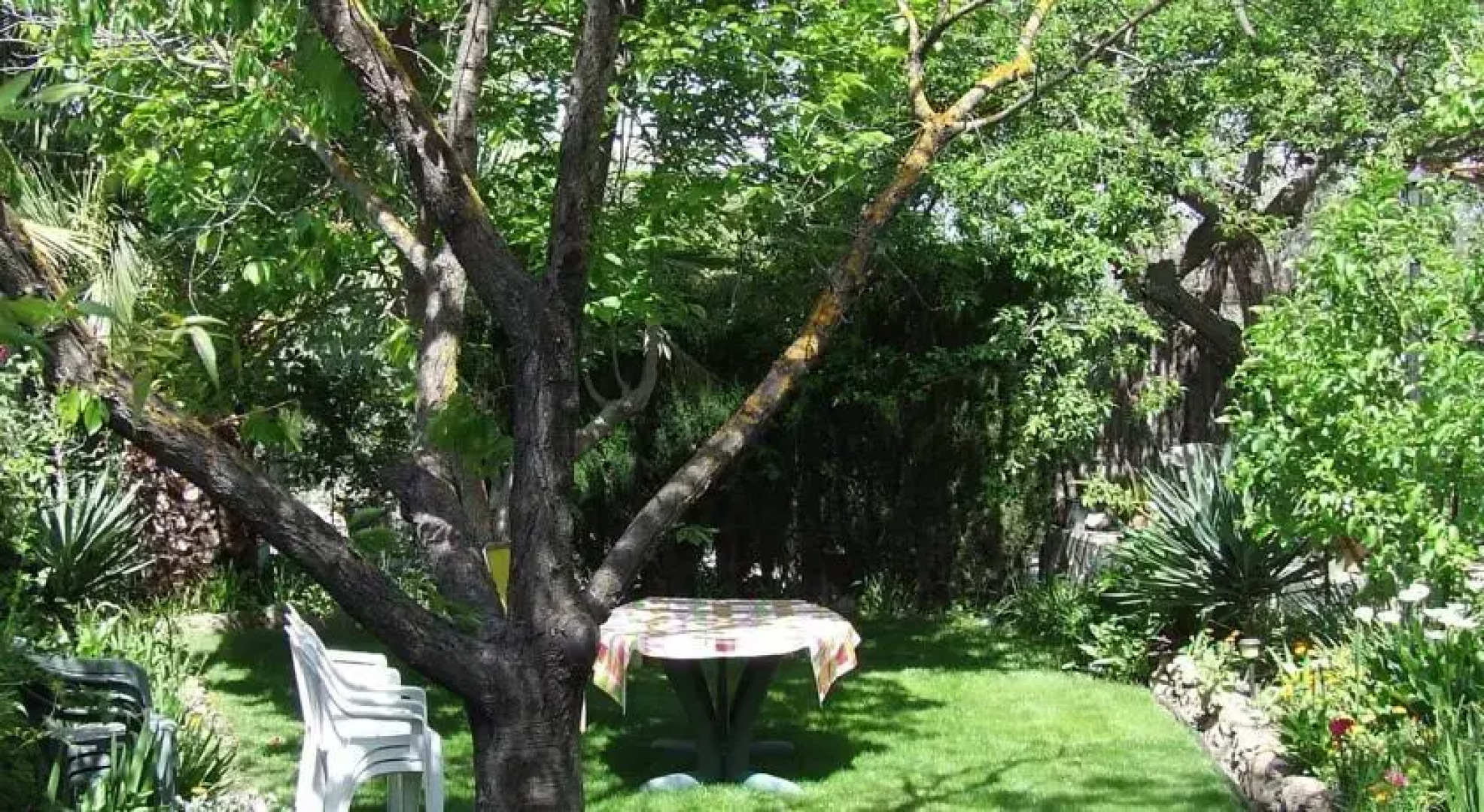 Country house Molino de Franchi: La Casa Grande