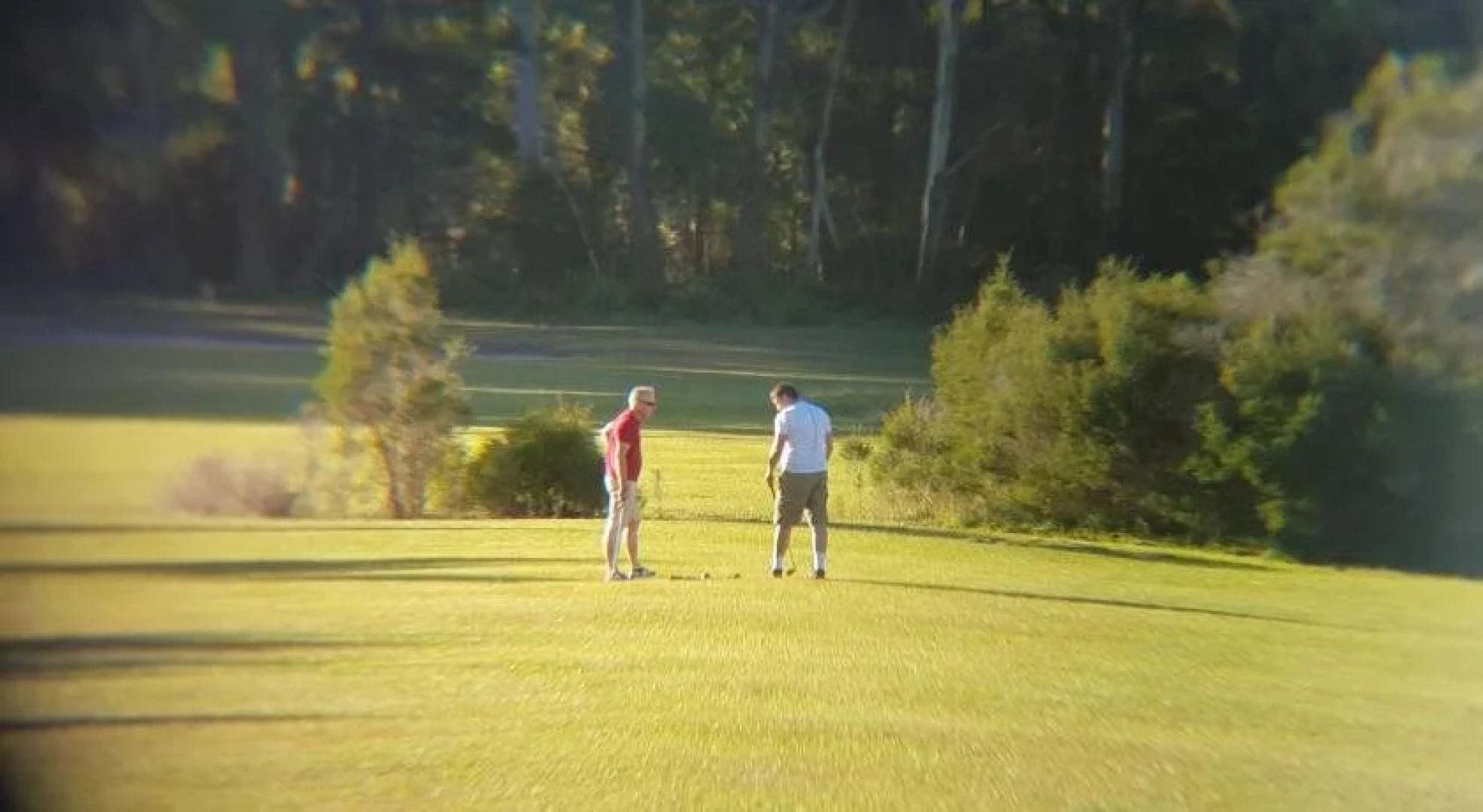 Woodbine Park Eco Cabins