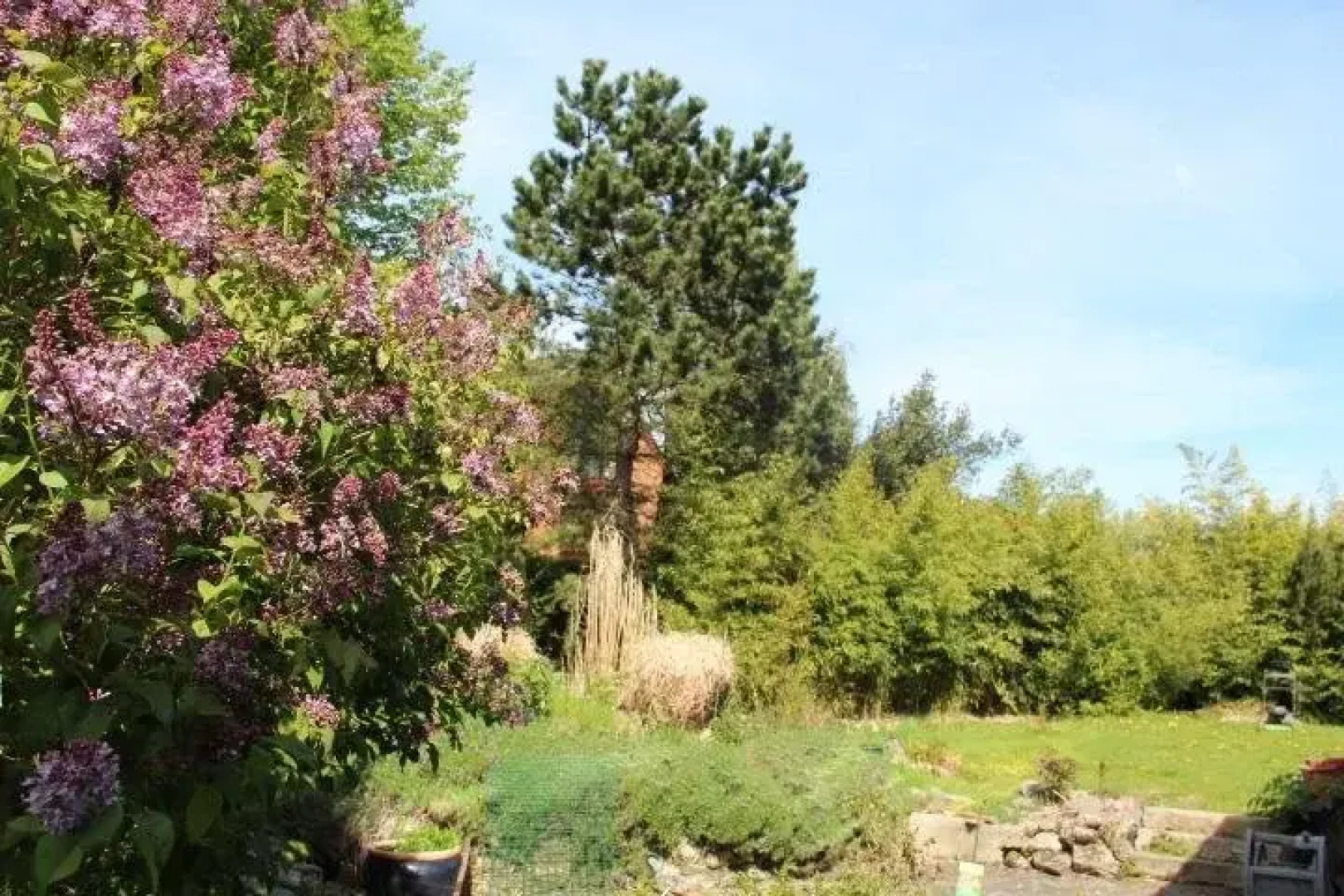 B&B La Grange Des Marnières