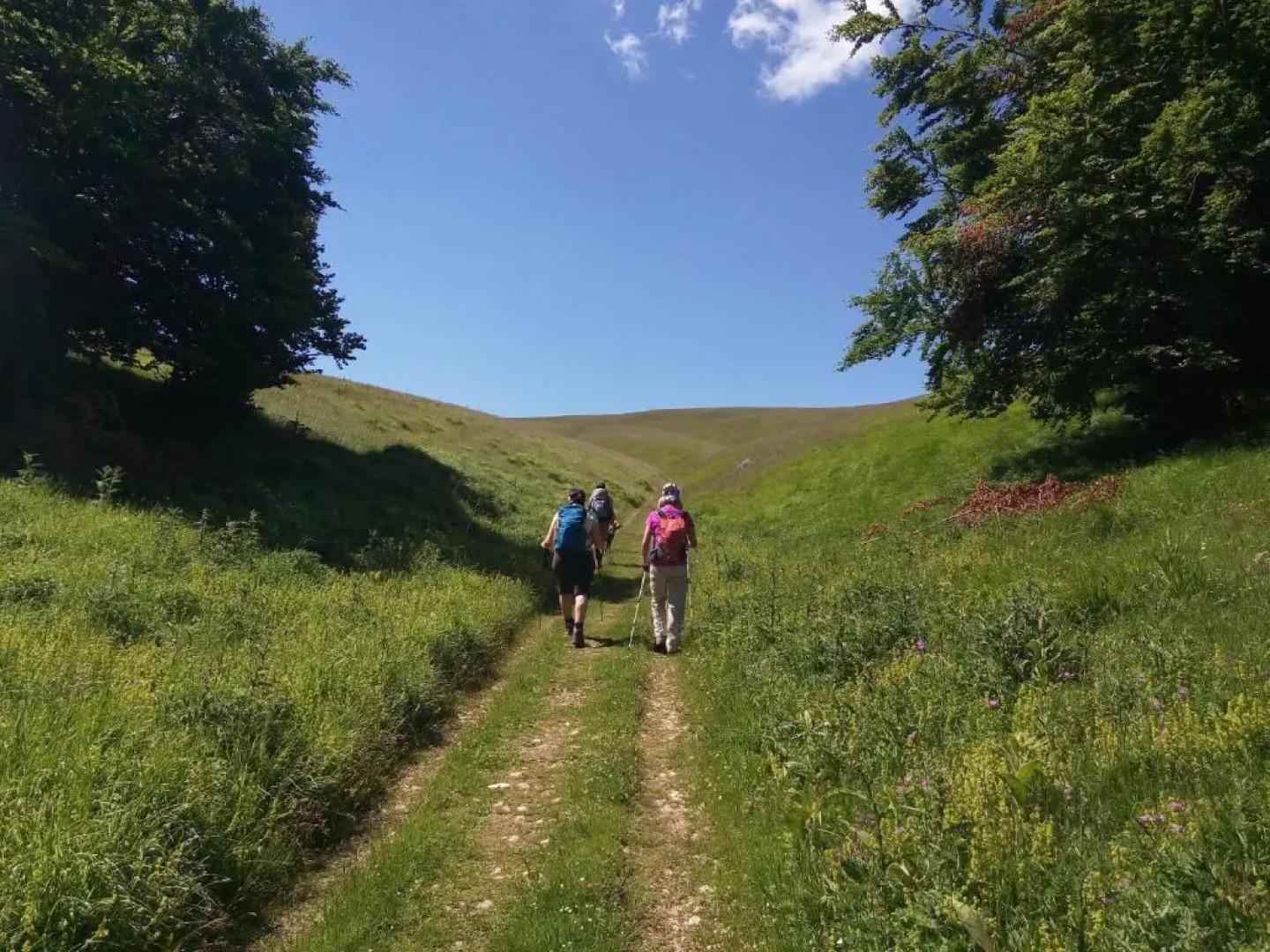 Camping Villaggio Il Collaccio