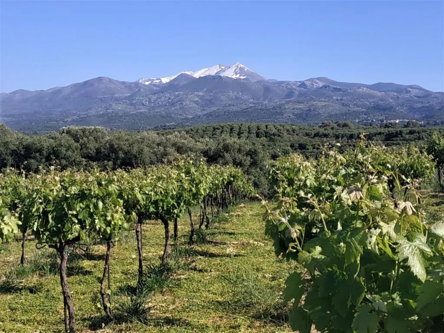 Suite of light rooms