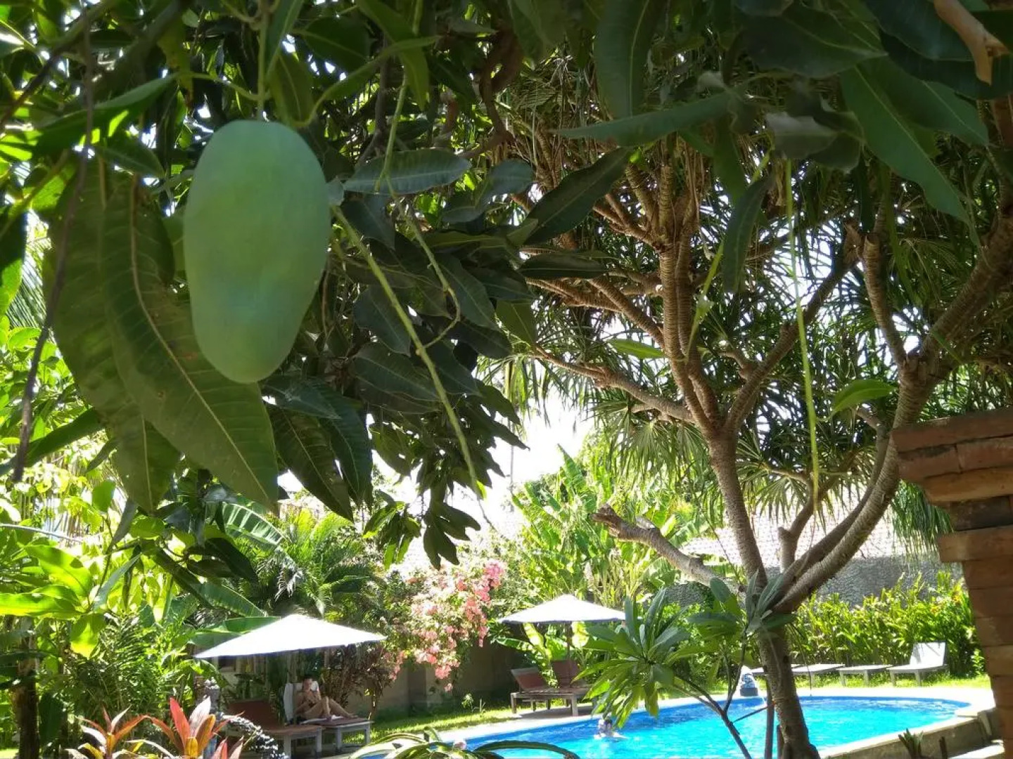 Suka Sari Cottages Pemuteran