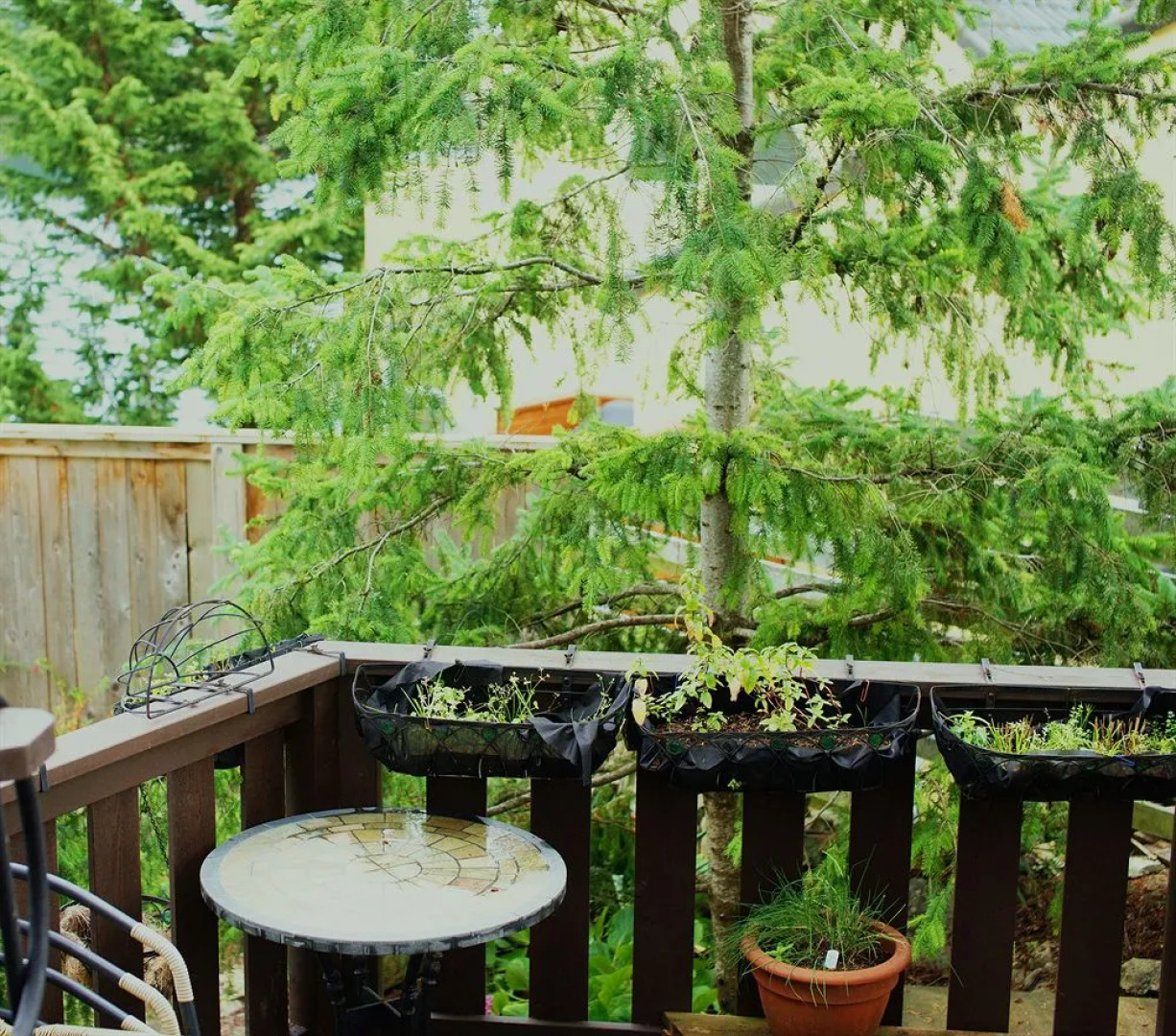 Denniston by The Sea