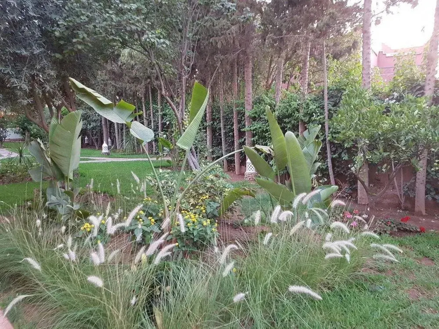 Riad Symphonia