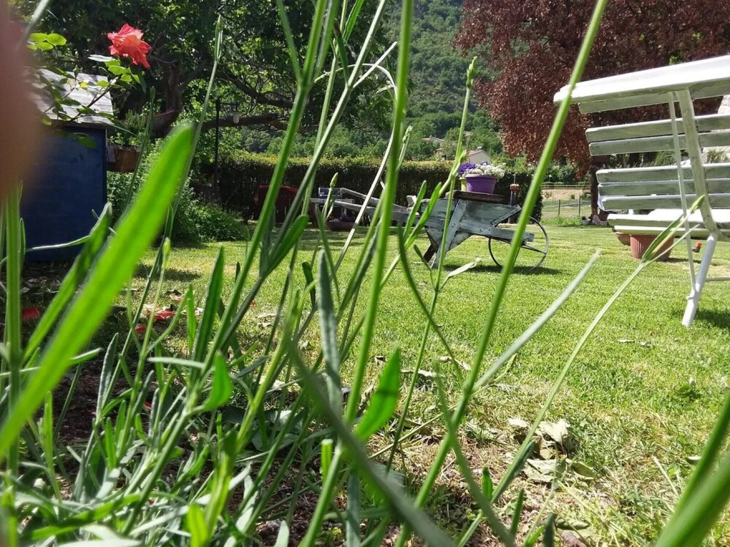 Apartment With one Bedroom in Vallo di Nera, With Wonderful Mountain V