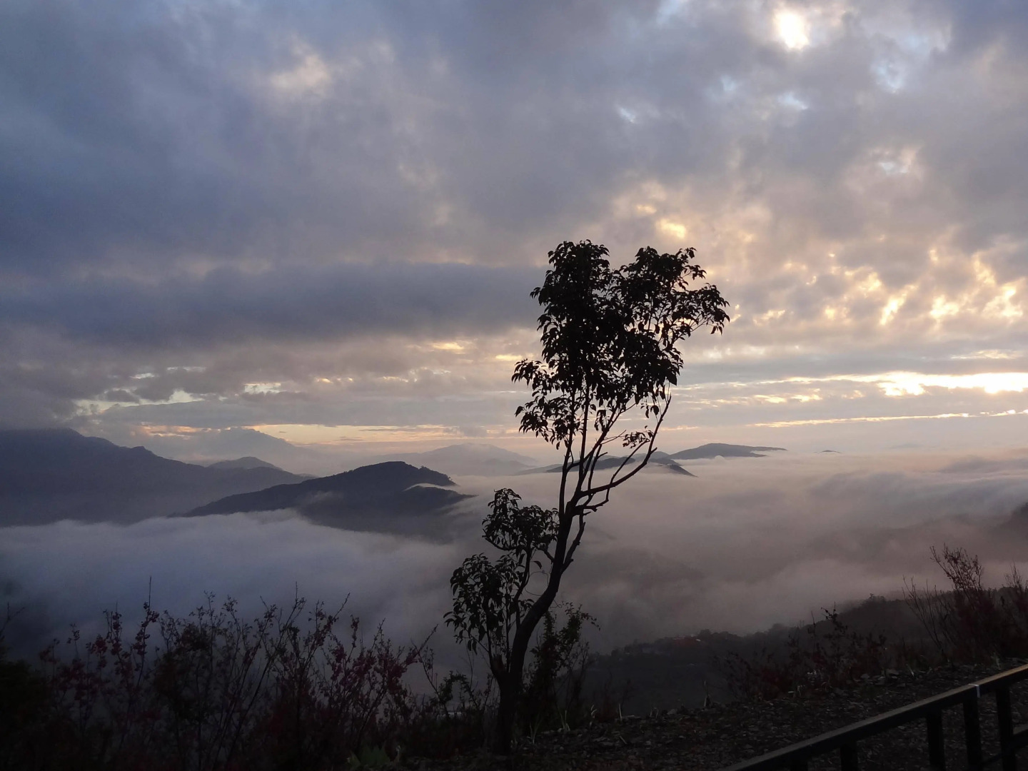 Shan Shui-Yuan Vege Guest House
