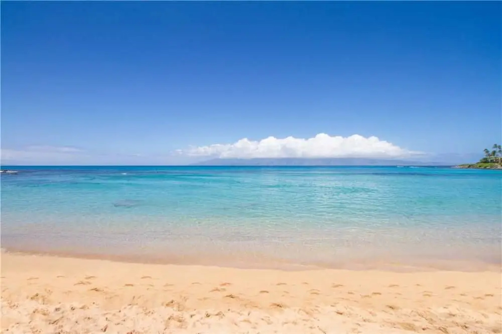 Napili Bay 204 - One Bedroom Studio Suite